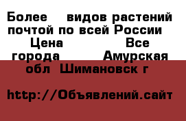 Более200 видов растений почтой по всей России › Цена ­ 100-500 - Все города  »    . Амурская обл.,Шимановск г.